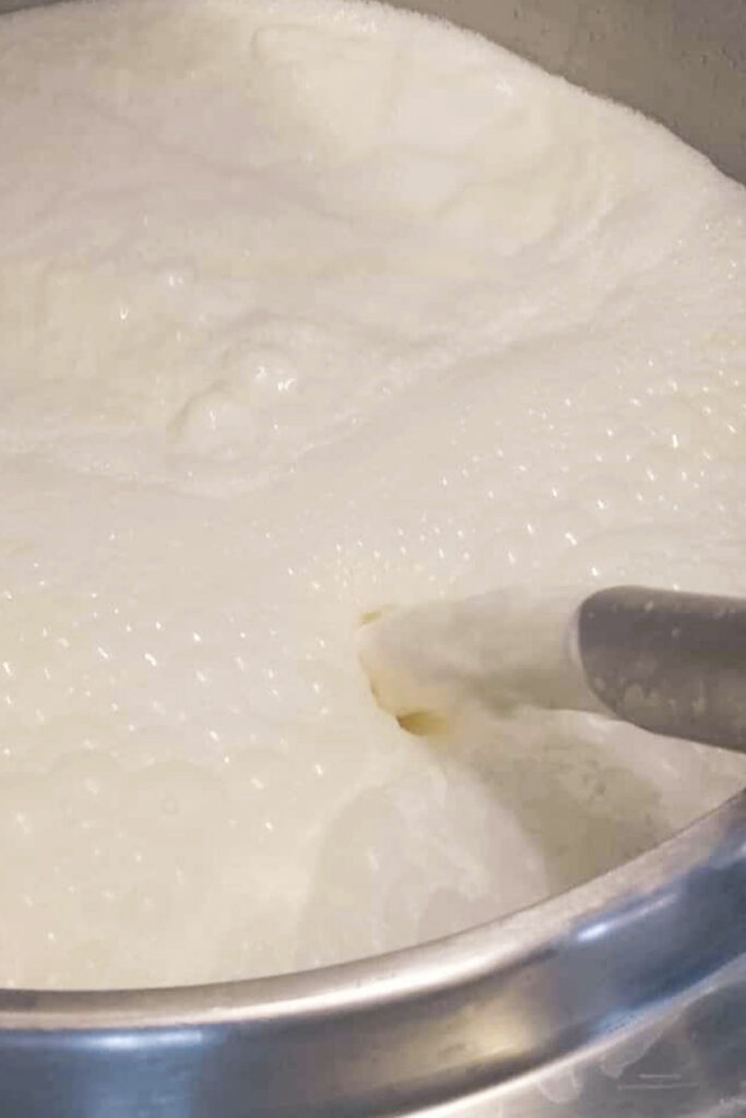 Agricuore raccolta del latte di capra nei macchinari di pastorizzazione