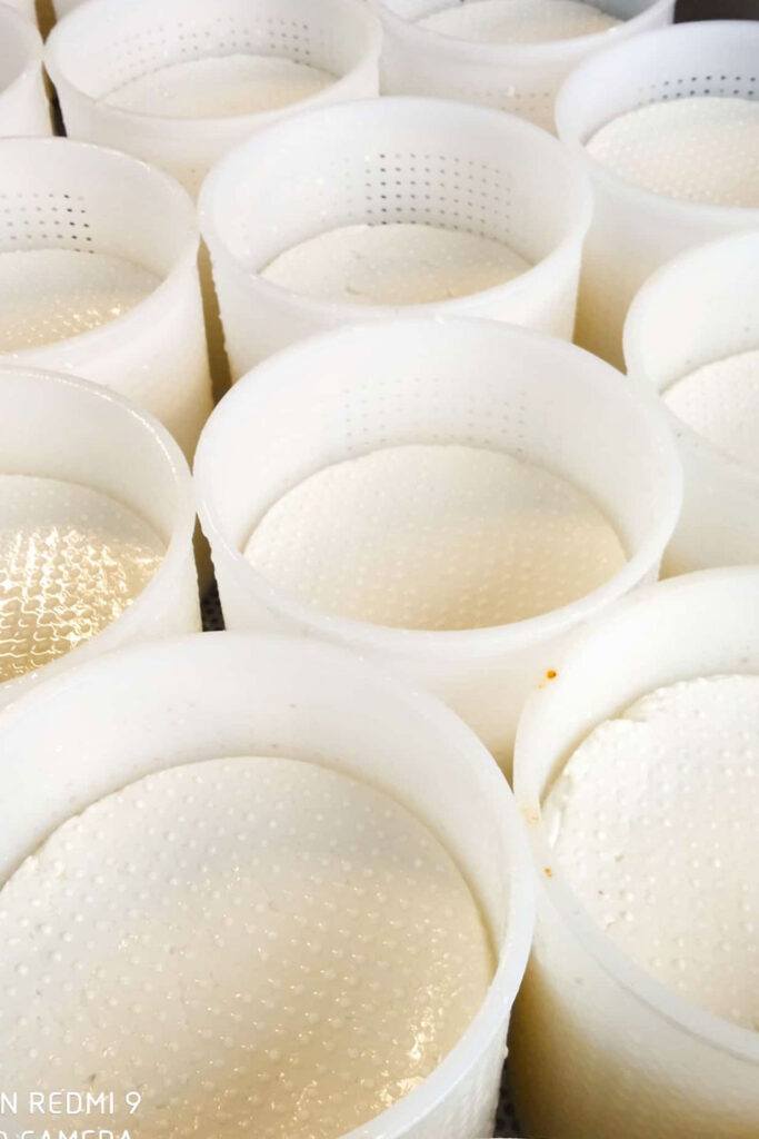 Agricuore ricotta fresca appena preparata e confezionate
