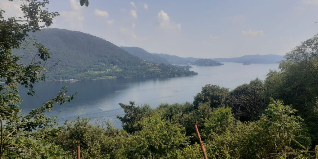 Agricuore vista del lago d'Orta dal prato dell'azienda