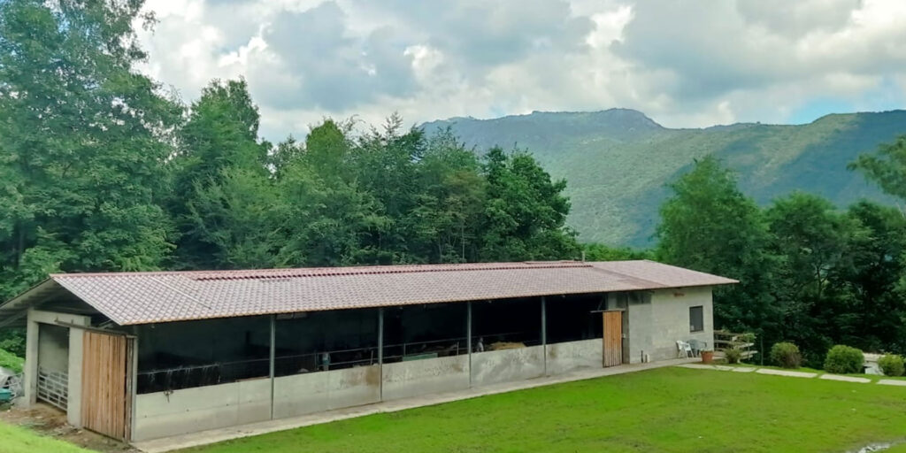 Agricuore nuova stalla e caseificio