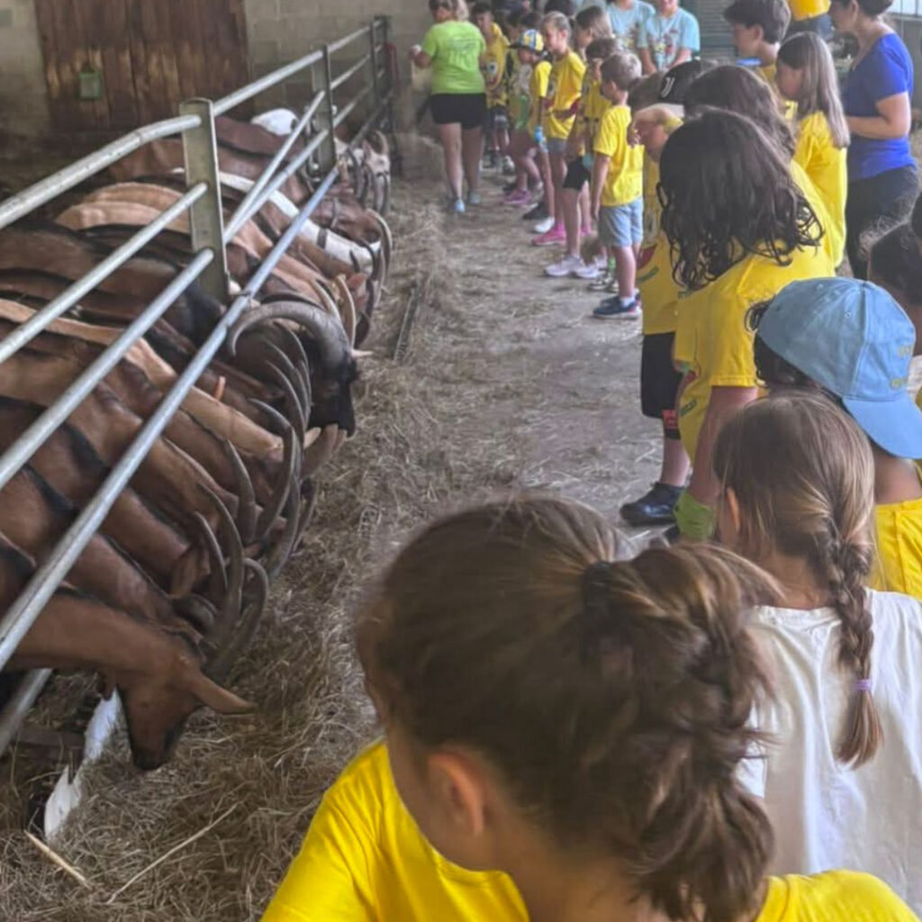 Agricuore visita guidata in fattoria