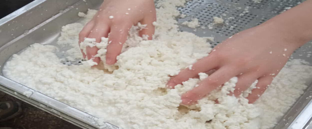 Agricuore fattoria didattica lavorazione del formaggio
