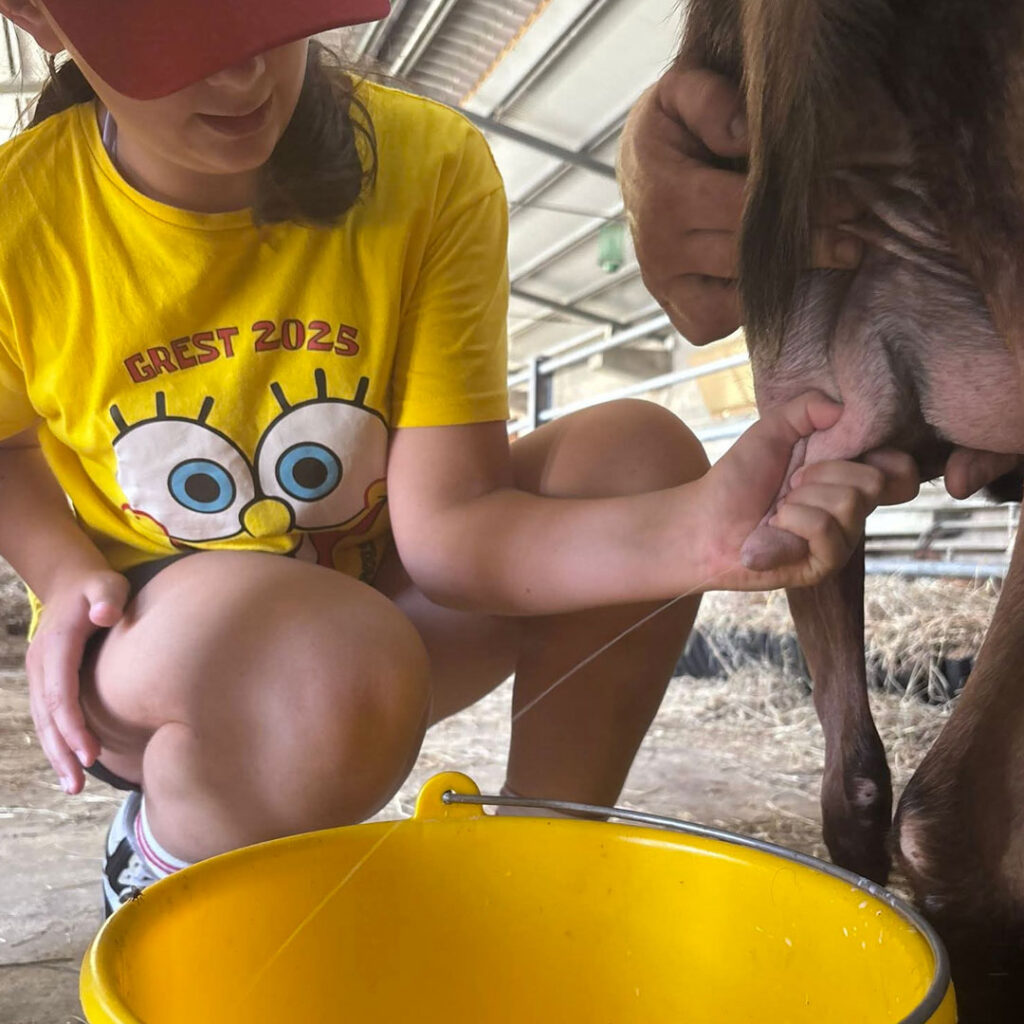 Agricuore vita di fattoria imparo a mungere le capre