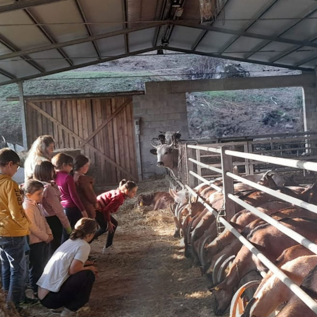 Agricuore laboratori didattici