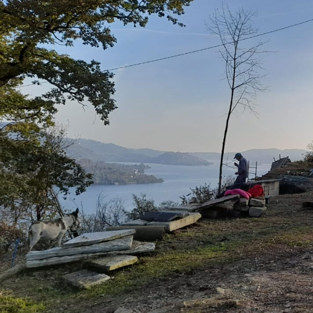 Agricuore la splendida vista dalla nostra fattoria